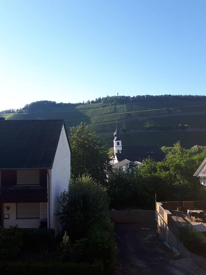 Gaestehaus Jufferpanorama Brauneberg Exterior photo
