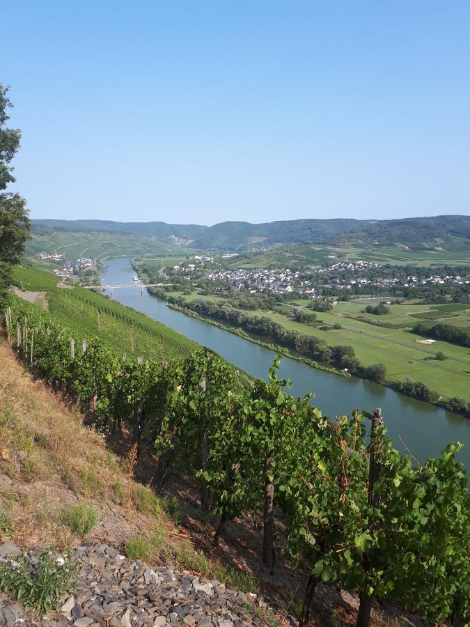 Gaestehaus Jufferpanorama Brauneberg Exterior photo