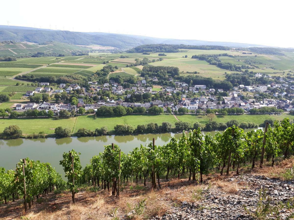Gaestehaus Jufferpanorama Brauneberg Exterior photo